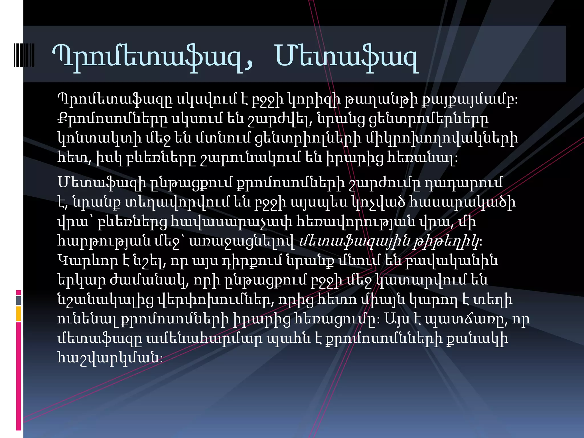 Պրոմետաֆազ, Մետաֆազ
Պրոմետաֆազը սկսվում է բջջի կորիզի թաղանթի քայքայմամբ:
Քրոմոսոմները սկսում են շարժվել, նրանց ցենտրոմերները
կոնտակտի մեջ են մտնում ցենտրիոլների միկրոխողովակների
հետ, իսկ բևեռները շարունակում են իրարից հեռանալ:
Մետաֆազի ընթացքում քրոմոսոմների շարժումը դադարում
է, նրանք տեղավորվում են բջջի այսպես կոչված հասարակածի
վրա` բևեռներց հավասարաչափ հեռավորության վրա, մի
հարթության մեջ` առաջացնելով մետաֆազային թիթեղիկ:
Կարևոր է նշել, որ այս դիրքում նրանք մնում են բավականին
երկար ժամանակ, որի ընթացքում բջջի մեջ կատարվում են
նշանակալից վերփոխումներ, որից հետո միայն կարող է տեղի
ունենալ քրոմոսոմների իրարից հեռացումը: Այս է պատճառը, որ
մետաֆազը ամենահարմար պահն է քրոմոսոմնների քանակի
հաշվարկման:
 