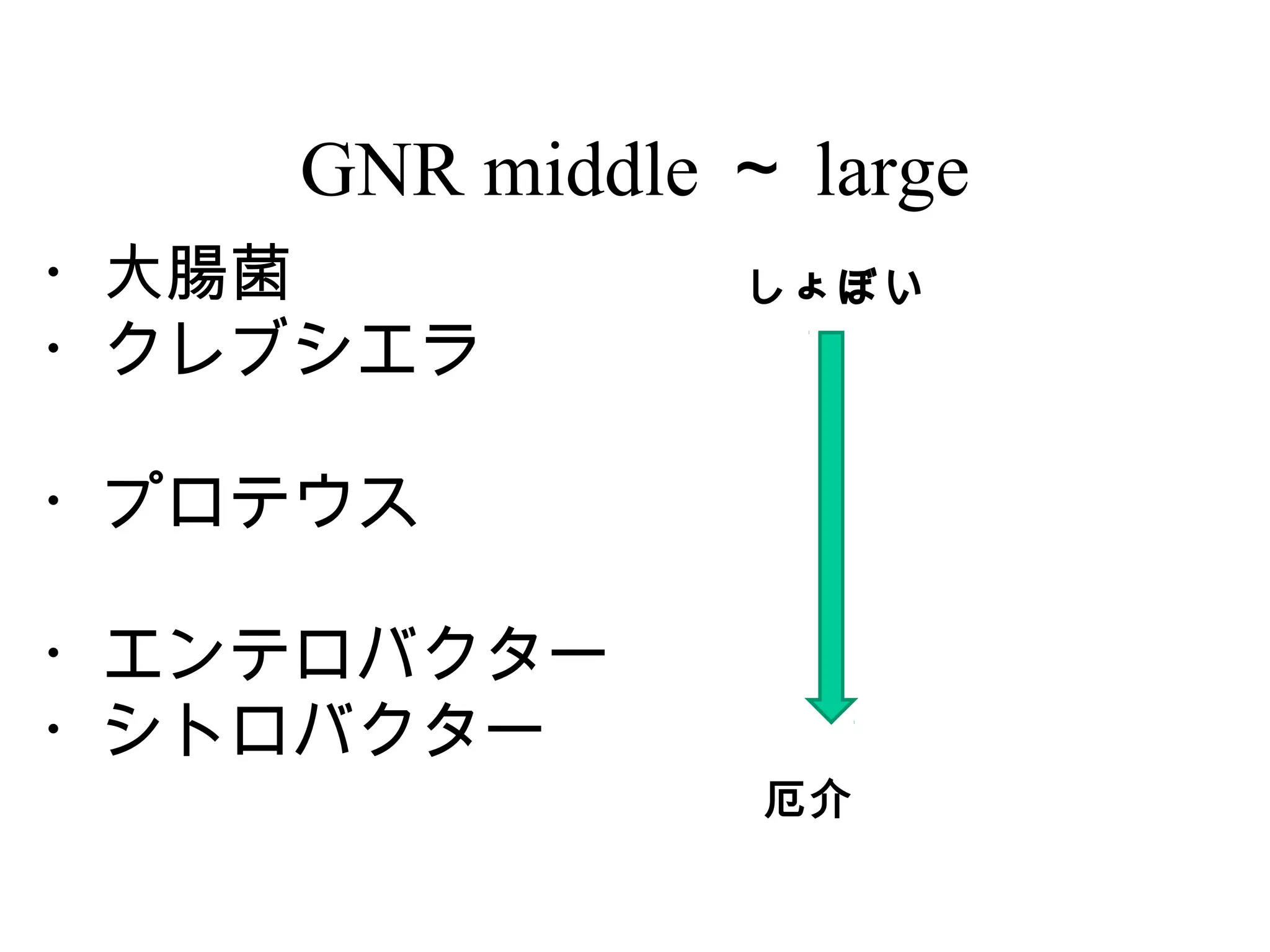 GNR middle ～ large
・大腸菌 　         しょぼい
・クレブシエラ

・プロテウス

・エンテロバクター
・シトロバクター
                厄介
 