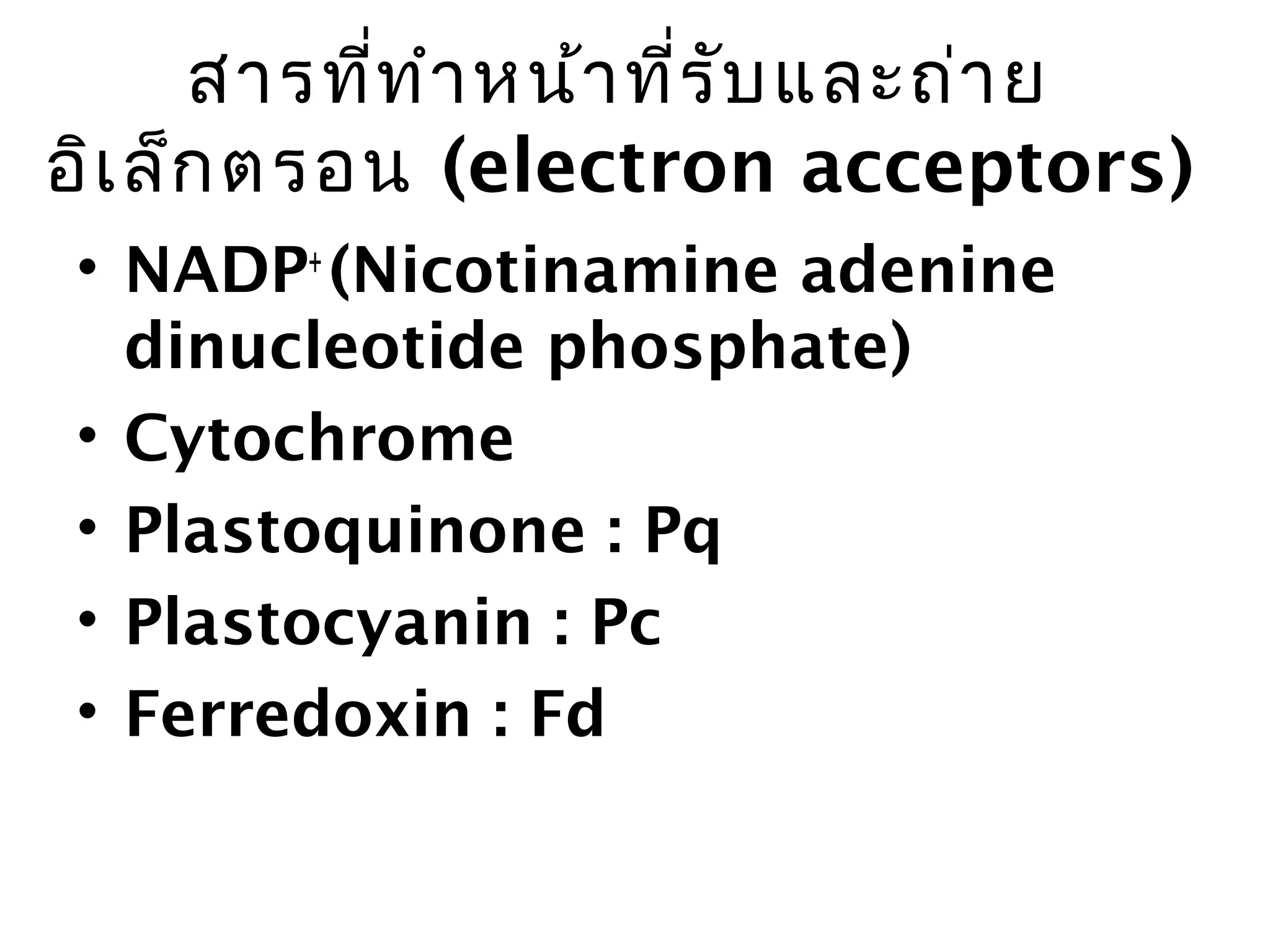 สารทีท ำา หน้า ที่ร บ และถ่า ย
           ่              ั
อิเ ล็ก ตรอน (electron acceptors)
• NADP+ (Nicotinamine adenine
  dinucleotide phosphate)
• Cytochrome
• Plastoquinone : Pq
• Plastocyanin : Pc
• Ferredoxin : Fd
 
