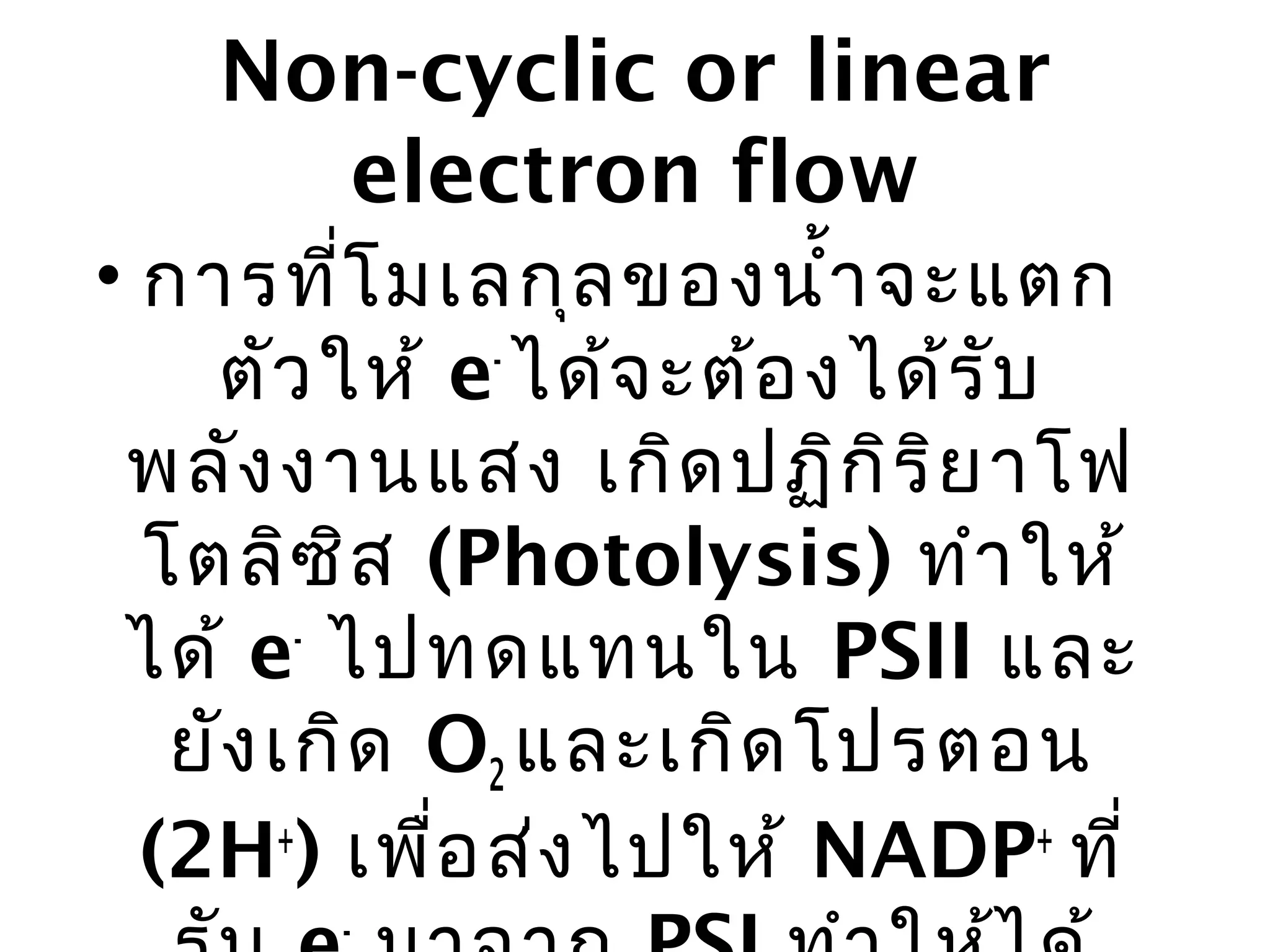 Non-cyclic or linear
     electron flow
• การที่โ มเลกุล ของนำ้า จะแตก
    ตัว ให้ e- ได้จ ะต้อ งได้ร ับ
 พลัง งานแสง เกิด ปฏิก ิร ิย าโฟ
  โตลิซ ิส (Photolysis) ทำา ให้
 ได้ e ไปทดแทนใน PSII และ
        -

   ยัง เกิด O2 และเกิด โปรตอน
  (2H+) เพื่อ ส่ง ไปให้ NADP+ ที่
       -
 