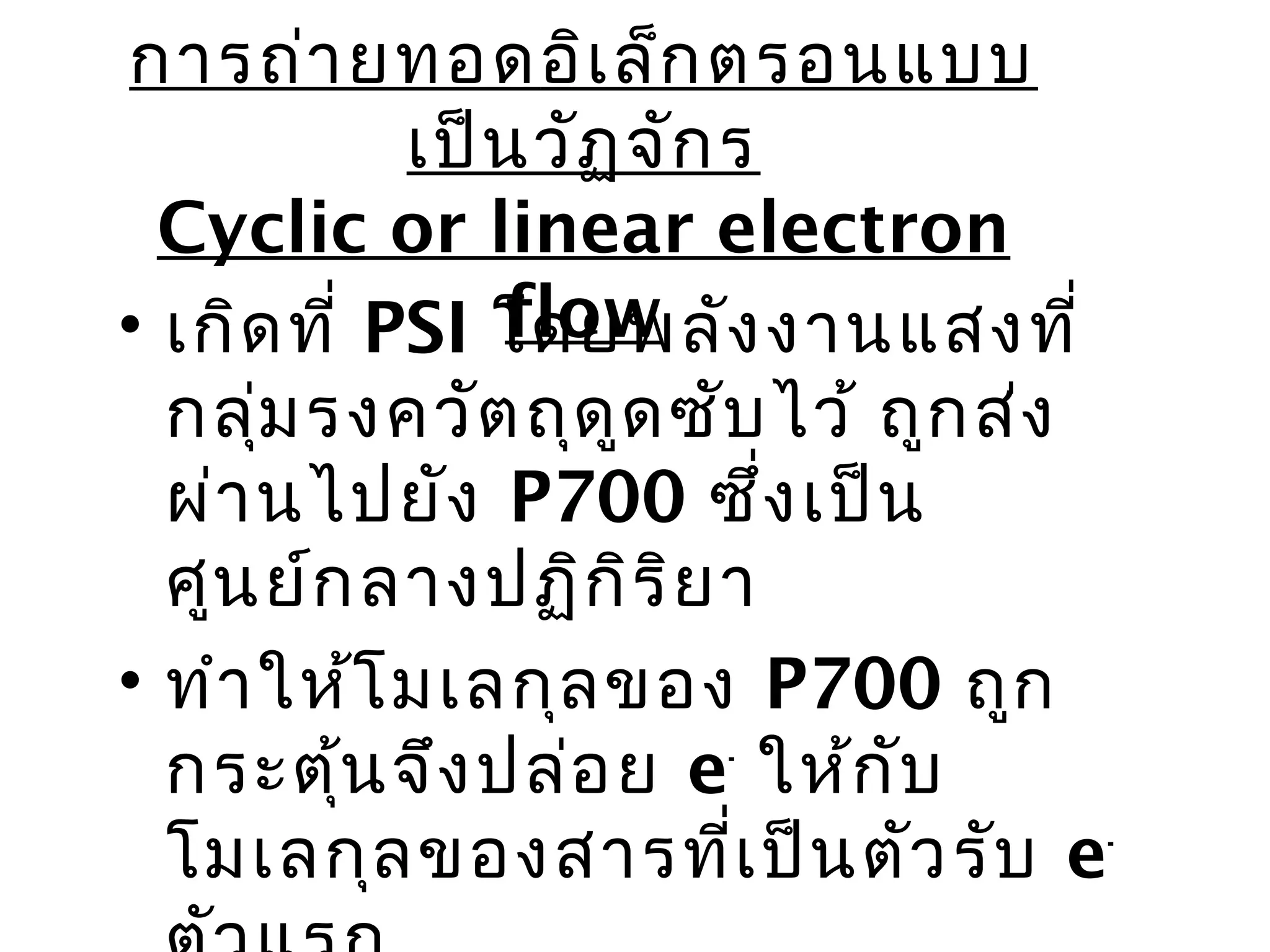การถ่า ยทอดอิเ ล็ก ตรอนแบบ
            เป็น วัฏ จัก ร
  Cyclic or linear electron
               flow
• เกิด ที่ PSI โดยพลัง งานแสงที่
  กลุม รงควัต ถุด ูด ซับ ไว้ ถูก ส่ง
      ่
  ผ่า นไปยัง P700 ซึ่ง เป็น
  ศูน ย์ก ลางปฏิก ิร ิย า
• ทำา ให้โ มเลกุล ของ P700 ถูก
  กระตุน จึง ปล่อ ย e- ให้ก ับ
          ้
  โมเลกุล ของสารที่เ ป็น ตัว รับ e-
 