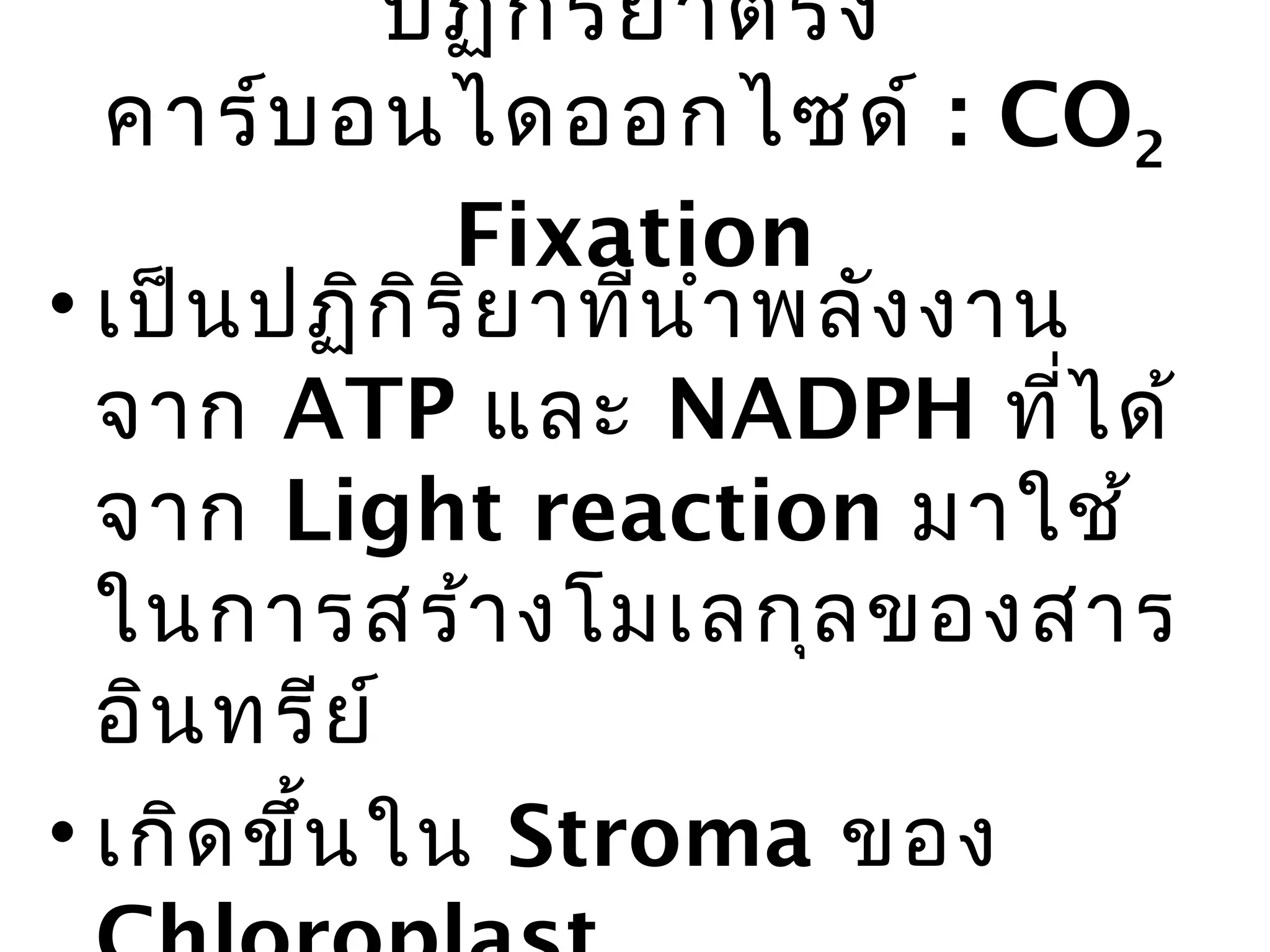 ปฏิก ิร ิย าตรึง
  คาร์บ อนไดออกไซด์ : CO2
              Fixation
• เป็น ปฏิก ิร ย าทีน ำา พลัง งาน
               ิ      ่
  จาก ATP และ NADPH ทีไ ด้       ่
  จาก Light reaction มาใช้
  ในการสร้า งโมเลกุล ของสาร
  อิน ทรีย ์
• เกิด ขึน ใน Stroma ของ
         ้
 