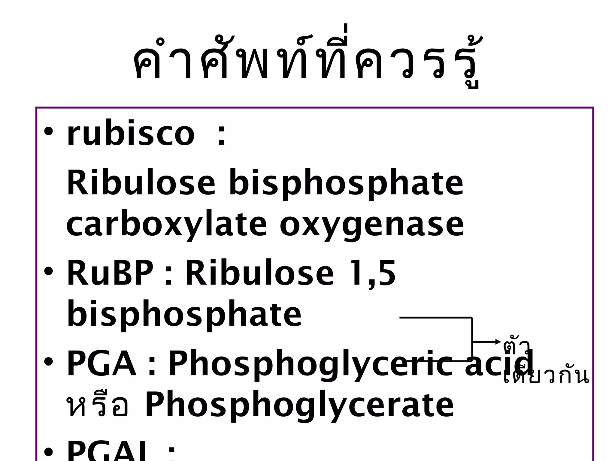 คำำ ศัพ ท์ท ี่ค วรรู้
• rubisco :
  Ribulose bisphosphate
  carboxylate oxygenase
• RuBP : Ribulose 1,5
  bisphosphate
                          ตัว
• PGA : Phosphoglyceric acid วกัน
                          เดีย
  หรือ Phosphoglycerate
 