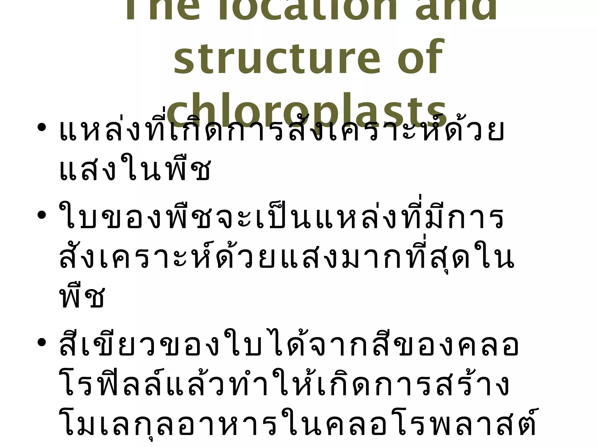 The location and
           structure of
• แหล่ง ทีchloroplastsด ้ว ย
          ่เ กิด การสัง เคราะห์
  แสงในพืช
• ใบของพืช จะเป็น แหล่ง ที่ม ีก าร
  สัง เคราะห์ด ้ว ยแสงมากทีส ุด ใน
                                ่
  พืช
• สีเ ขีย วของใบได้จ ากสีข องคลอ
  โรฟิล ล์แ ล้ว ทำา ให้เ กิด การสร้า ง
  โมเลกุล อาหารในคลอโรพลาสต์
 