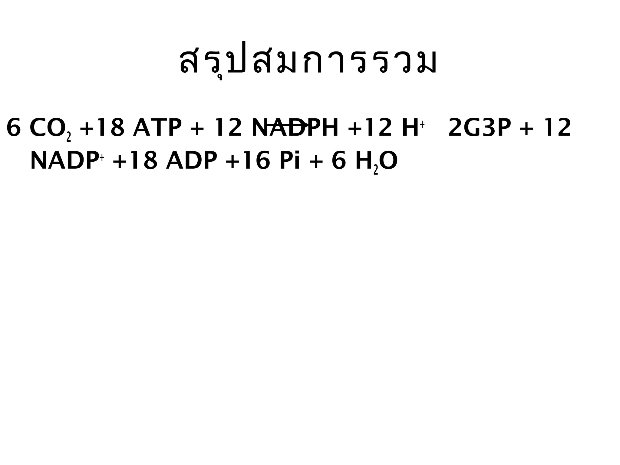 สรุป สมกำรรวม
6 CO2 +18 ATP + 12 NADPH +12 H+ 2G3P + 12
  NADP+ +18 ADP +16 Pi + 6 H2O
 