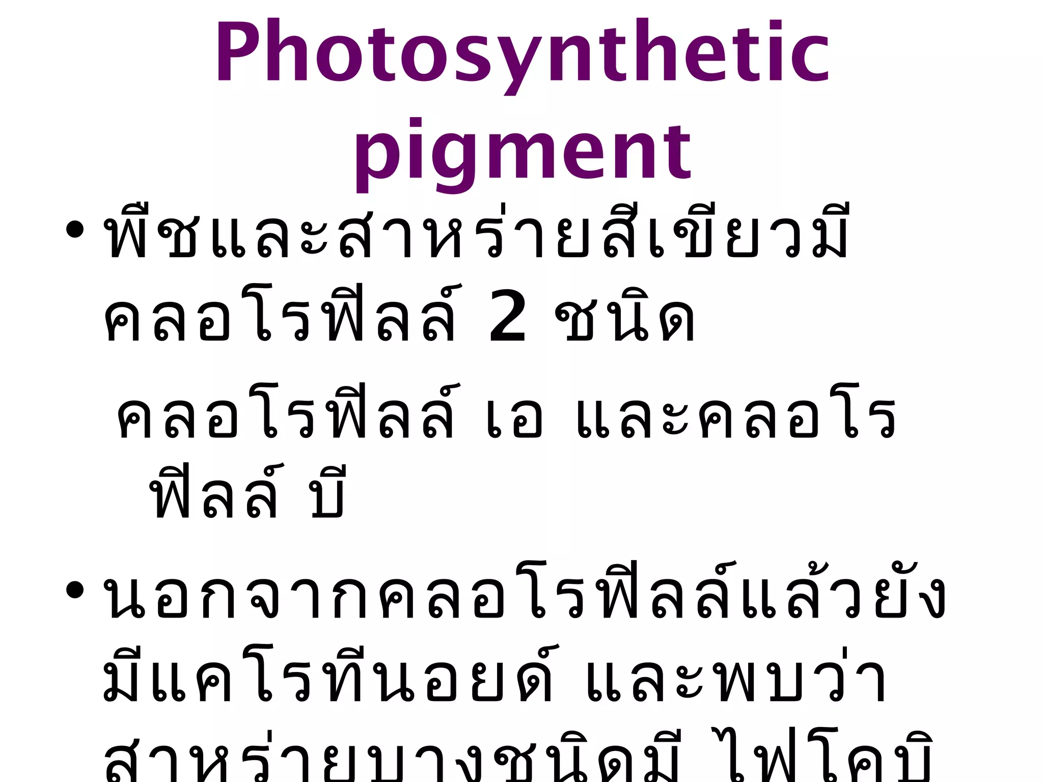Photosynthetic
       pigment
• พืช และสาหร่า ยสีเ ขีย วมี
  คลอโรฟิล ล์ 2 ชนิด
  คลอโรฟิล ล์ เอ และคลอโร
   ฟิล ล์ บี
• นอกจากคลอโรฟิล ล์แ ล้ว ยัง
  มีแ คโรทีน อยด์ และพบว่า
 