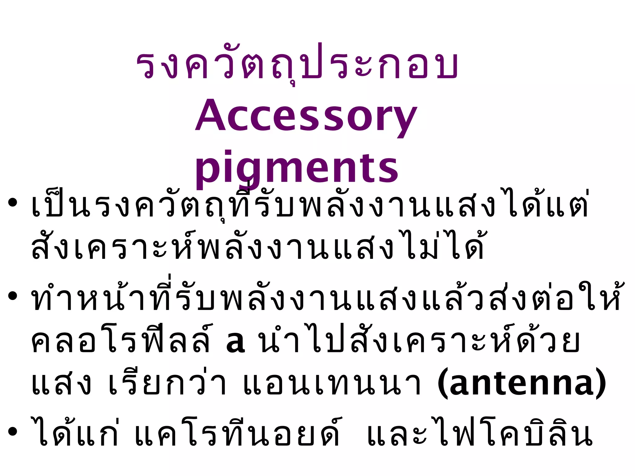 รงควัต ถุป ระกอบ
           Accessory
           pigments
• เป็น รงควัต ถุท ร ับ พลัง งานแสงได้แ ต่
                    ี่
  สัง เคราะห์พ ลัง งานแสงไม่ไ ด้
• ทำา หน้า ที่ร ับ พลัง งานแสงแล้ว ส่ง ต่อ ให้
  คลอโรฟีล ล์ a นำา ไปสัง เคราะห์ด ้ว ย
  แสง เรีย กว่า แอนเทนนา (antenna)
• ได้แ ก่ แคโรทีน อยด์ และไฟโคบิล น       ิ
 