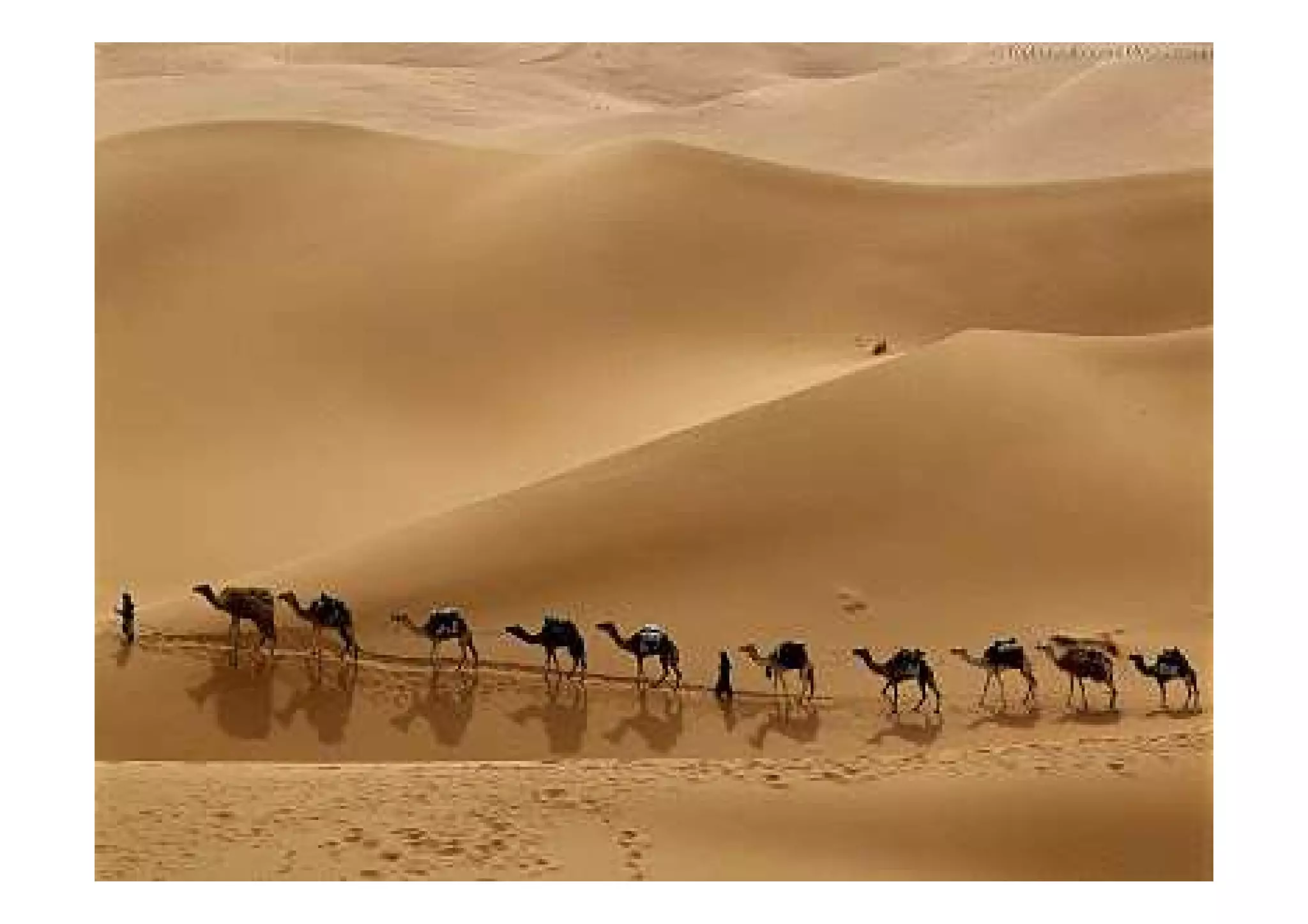 ทะเลทราบอาหรับ
 