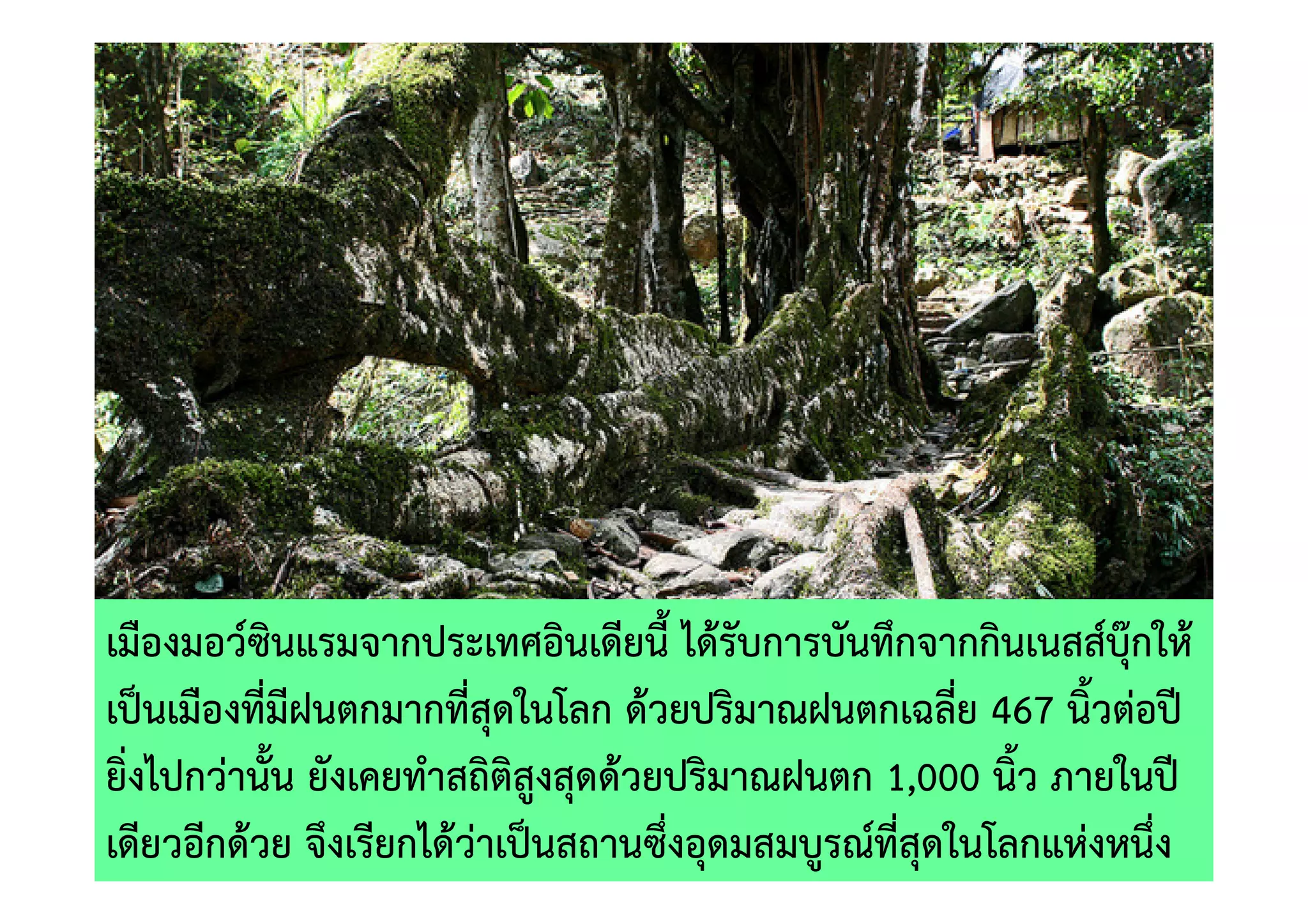 เมืองมอว=ซินแรมจากประเทศอินเดียนี้ ได)รับการบันทึกจากกินเนสส=บุ[กให)
เป0นเมืองที่มีฝนตกมากที่สุดในโลก ด)วยปริมาณฝนตกเฉลี่ย 467 นิ้วตอปV
ยิ่งไปกวานั้น ยังเคยทําสถิติสูงสุดด)วยปริมาณฝนตก 1,000 นิ้ว ภายในปV
เดียวอีกด)วย จึงเรียกได)วาเป0นสถานซึ่งอุดมสมบูรณ=ที่สุดในโลกแหงหนึ่ง
 