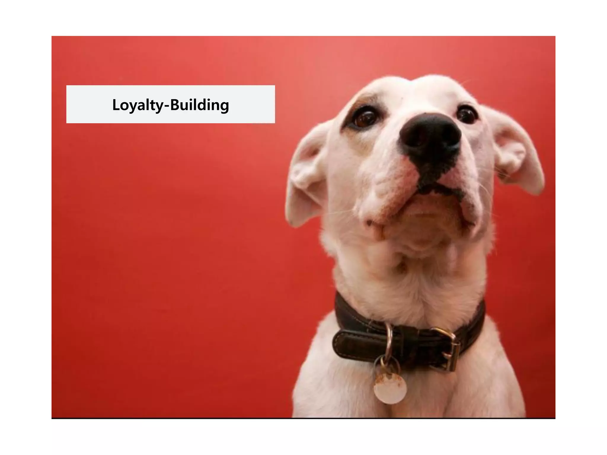 Loyalty-Building
 