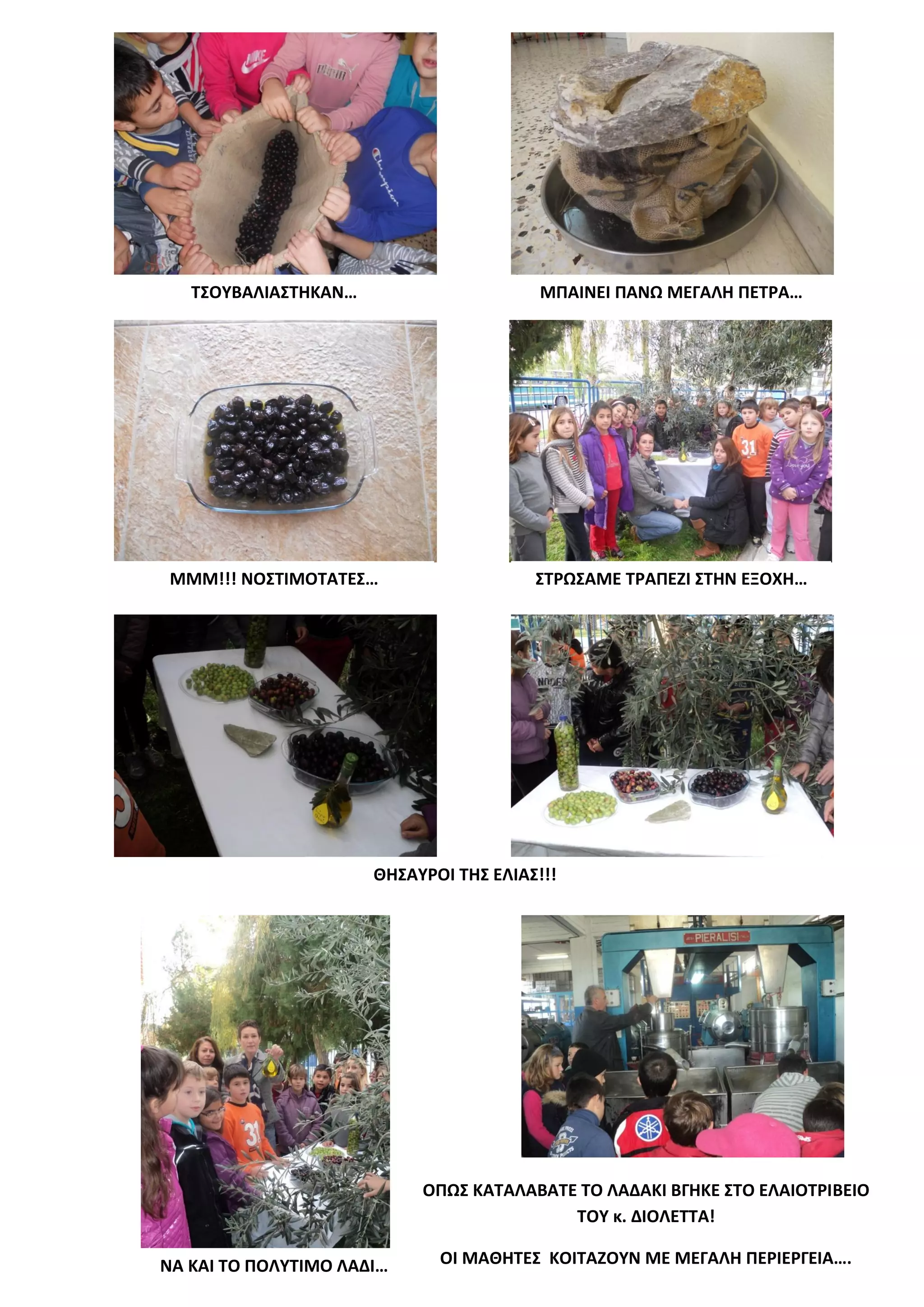 ΤΣΟΥΒΑΛΙΑΣΤΗΚΑΝ…                      ΜΠΑΙΝΕΙ ΠΑΝΩ ΜΕΓΑΛΗ ΠΕΤΡΑ…




 ΜΜΜ!!! ΝΟΣΤΙΜΟΤΑΤΕΣ…                   ΣΤΡΩΣΑΜΕ ΤΡΑΠΕΖΙ ΣΤΗΝ ΕΞΟΧΗ…




                      ΘΗΣΑΥΡΟΙ ΤΗΣ ΕΛΙΑΣ!!!




                           ΟΠΩΣ ΚΑΤΑΛΑΒΑΤΕ ΤΟ ΛΑΔΑΚΙ ΒΓΗΚΕ ΣΤΟ ΕΛΑΙΟΤΡΙΒΕΙΟ
                                          ΤΟΥ κ. ΔΙΟΛΕΤΤΑ!

ΝΑ ΚΑΙ ΤΟ ΠΟΛΥΤΙΜΟ ΛΑΔΙ…     ΟΙ ΜΑΘΗΤΕΣ ΚΟΙΤΑΖΟΥΝ ΜΕ ΜΕΓΑΛΗ ΠΕΡΙΕΡΓΕΙΑ….
 