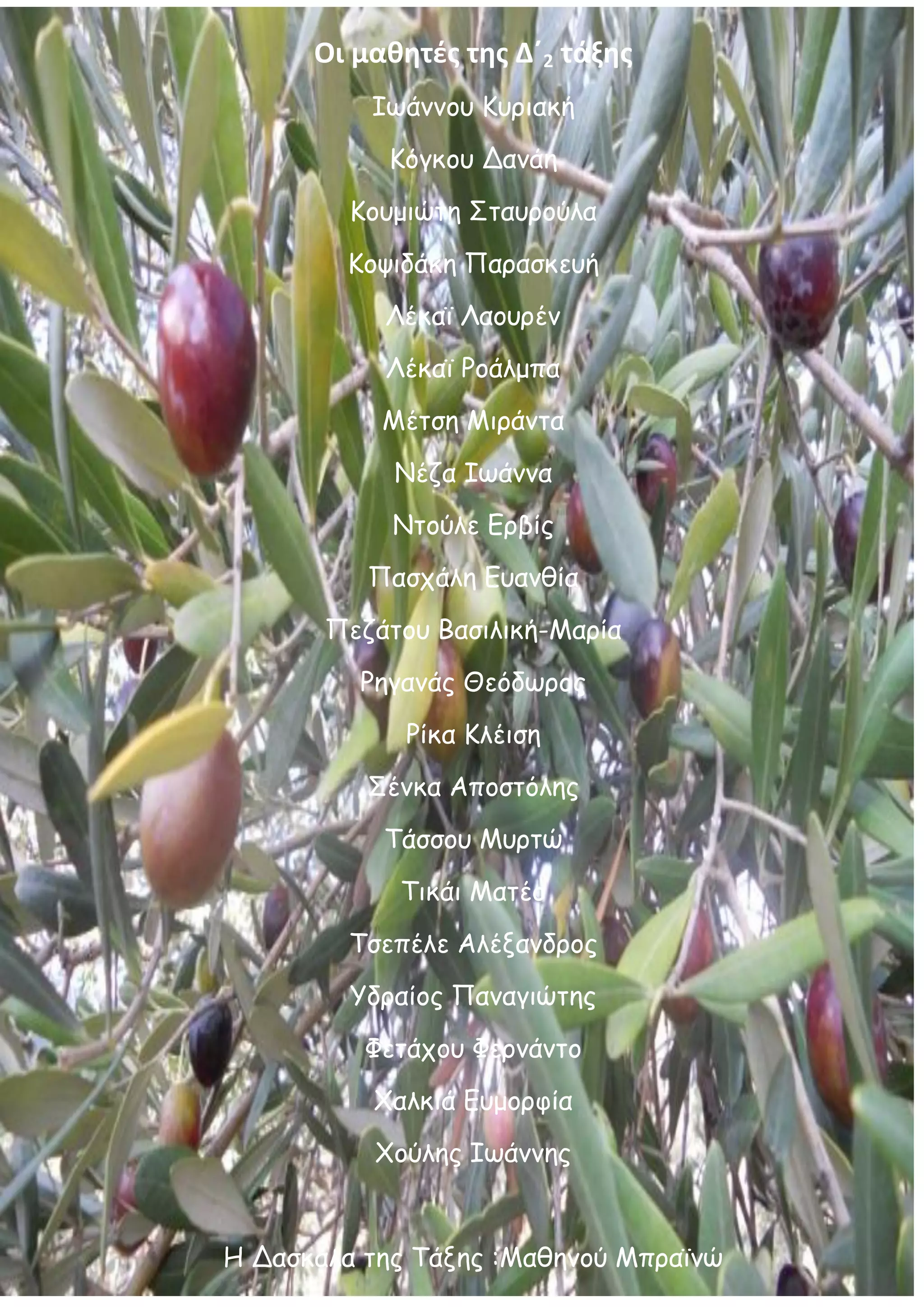 Οι μαθητές της Δ΄2 τάξης
          Ιωάννου Κυριακή
           Κόγκου Δανάη
         Κουμιώτη Σταυρούλα
        Κοψιδάκη Παρασκευή
           Λέκαϊ Λαουρέν
           Λέκαϊ Ροάλμπα
           Μέτση Μιράντα
            Νέζα Ιωάννα
            Ντούλε Ερβίς
          Πασχάλη Ευανθία
       Πεζάτου Βασιλική-Μαρία
         Ρηγανάς Θεόδωρος
             Ρίκα Κλέιση
          Σένκα Αποστόλης
           Τάσσου Μυρτώ
            Τικάι Ματέο
         Τσεπέλε Αλέξανδρος
         Υδραίος Παναγιώτης
          Φετάχου Φερνάντο
          Χαλκιά Ευμορφία
          Χούλης Ιωάννης


Η Δασκάλα της Τάξης :Μαθηνού Μπραϊνώ
 