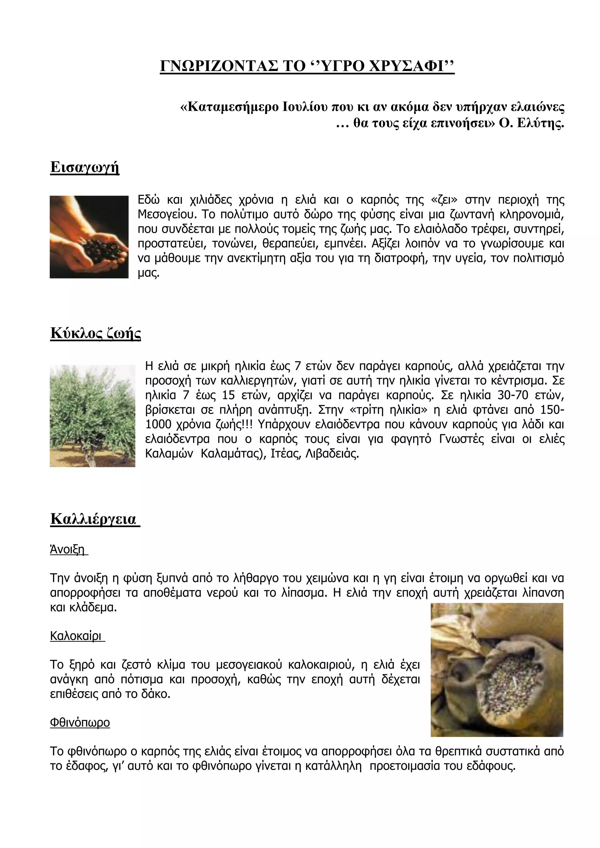 ΓΝΩΡΙΖΟΝΤΑΣ ΤΟ ‘’ΥΓΡΟ ΧΡΥΣΑΦΙ’’

                      «Καταμεσήμερο Ιουλίου που κι αν ακόμα δεν υπήρχαν ελαιώνες
                                             … θα τους είχα επινοήσει» Ο. Ελύτης.


Εισαγωγή
               Εδώ και χιλιάδες χρόνια η ελιά και ο καρπός της «ζει» στην περιοχή της
               Μεσογείου. Το πολύτιμο αυτό δώρο της φύσης είναι μια ζωντανή κληρονομιά,
               που συνδέεται με πολλούς τομείς της ζωής μας. Το ελαιόλαδο τρέφει, συντηρεί,
               προστατεύει, τονώνει, θεραπεύει, εμπνέει. Αξίζει λοιπόν να το γνωρίσουμε και
               να μάθουμε την ανεκτίμητη αξία του για τη διατροφή, την υγεία, τον πολιτισμό
               μας.




Κύκλος ζωής
                Η ελιά σε μικρή ηλικία έως 7 ετών δεν παράγει καρπούς, αλλά χρειάζεται την
                προσοχή των καλλιεργητών, γιατί σε αυτή την ηλικία γίνεται το κέντρισμα. Σε
                ηλικία 7 έως 15 ετών, αρχίζει να παράγει καρπούς. Σε ηλικία 30-70 ετών,
                βρίσκεται σε πλήρη ανάπτυξη. Στην «τρίτη ηλικία» η ελιά φτάνει από 150-
                1000 χρόνια ζωής!!! Υπάρχουν ελαιόδεντρα που κάνουν καρπούς για λάδι και
                ελαιόδεντρα που ο καρπός τους είναι για φαγητό Γνωστές είναι οι ελιές
                Καλαμών Καλαμάτας), Ιτέας, Λιβαδειάς.




Καλλιέργεια
Άνοιξη

Την άνοιξη η φύση ξυπνά από το λήθαργο του χειμώνα και η γη είναι έτοιμη να οργωθεί και να
απορροφήσει τα αποθέματα νερού και το λίπασμα. Η ελιά την εποχή αυτή χρειάζεται λίπανση
και κλάδεμα.

Καλοκαίρι

Το ξηρό και ζεστό κλίμα του μεσογειακού καλοκαιριού, η ελιά έχει
ανάγκη από πότισμα και προσοχή, καθώς την εποχή αυτή δέχεται
επιθέσεις από το δάκο.

Φθινόπωρο

Το φθινόπωρο ο καρπός της ελιάς είναι έτοιμος να απορροφήσει όλα τα θρεπτικά συστατικά από
το έδαφος, γι’ αυτό και το φθινόπωρο γίνεται η κατάλληλη προετοιμασία του εδάφους.
 