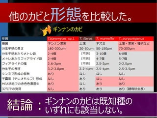 カビハンターが行く 院生プレゼンバトル12