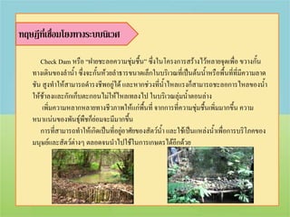 ทฤษฎีที่เชื่อมโยงทางระบบนิเวศ

      Check Dam หรือ “ฝายชะลอความชุ่มชื้น” ซึงในโครงการสร้างไว้หลายจุดเพื่อ ขวางกั้น
                                                 ่
   ทางเดินของลาน้า ซึ่งจะกั้นห้วยลาธารขนาดเล็กในบริเวณที่เป็นต้นน้าหรือพื้นที่ที่มีความลาด
   ชัน สูงทาให้สามารถดารงชีพอยู่ได้ และหากช่วงที่น้าไหลแรงก็สามารถชะลอการไหลของน้า
   ให้ช้าลงและกักเก็บตะกอนไม่ให้ไหลเทลงไป ในบริเวณลุ่มน้าตอนล่าง
       เพิ่มความหลากหลายทางชีวภาพให้แก่พื้นที่ จากการที่ความชุ่มชื้นเพิ่มมากขึ้น ความ
   หนาแน่นของพันธุ์พืชก็ย่อมจะมีมากขึน  ้
      การที่สามารถทาให้เกิดเป็นที่อยู่อาศัยของสัตว์น้า และใช้เป็นแหล่งน้าเพื่อการบริโภคของ
   มนุษย์และสัตว์ต่างๆ ตลอดจนนาไปใช้ในการเกษตรได้อีกด้วย
 