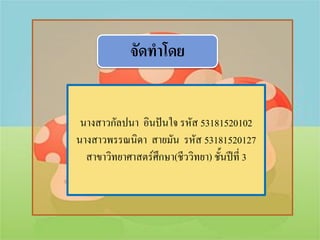 จัดทาโดย


 นางสาวกัลปนา อินปันใจ รหัส 53181520102
นางสาวพรรณนิดา สายมัน รหัส 53181520127
  สาขาวิทยาศาสตร์ศึกษา(ชีววิทยา) ชั้นปีที่ 3
 