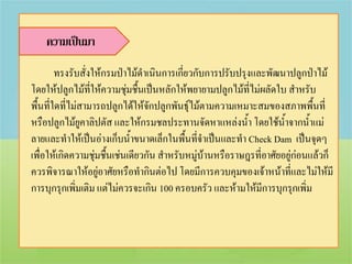 ความเป็นมา
        ทรงรับสั่งให้กรมป่าไม้ดาเนินการเกี่ยวกับการปรับปรุงและพัฒนาปลูกป่าไม้
โดยให้ปลูกไม้ที่ให้ความชุ่มชื้นเป็นหลักให้พยายามปลูกไม้ที่ไม่ผลัดใบ สาหรับ
พื้นที่ใดที่ไม่สามารถปลูกได้ให้จกปลูกพันธุ์ไม้ตามความเหมาะสมของสภาพพื้นที่
                                  ั
หรือปลูกไม้ยูคาลิปตัส และให้กรมชลประทานจัดหาแหล่งน้า โดยใช้น้าจากน้าแม่
ลายและทาให้เป็นอ่างเก็บน้าขนาดเล็กในพื้นที่จาเป็นและทา Check Dam เป็นจุดๆ
เพื่อให้เกิดความชุ่มชื้นเช่นเดียวกัน สาหรับหมู่บ้านหรือราษฎรที่อาศัยอยู่ก่อนแล้วก็
ควรพิจารณาให้อยู่อาศัยหรือทากินต่อไป โดยมีการควบคุมของเจ้าหน้าที่และไม่ให้มี
การบุกรุกเพิ่มเติม แต่ไม่ควรจะเกิน 100 ครอบครัว และห้ามให้มีการบุกรุกเพิ่ม
 