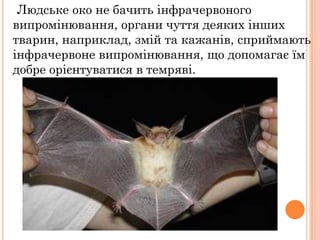 Людське око не бачить інфрачервоного
випромінювання, органи чуття деяких інших
тварин, наприклад, змій та кажанів, сприймають
інфрачервоне випромінювання, що допомагає їм
добре орієнтуватися в темряві.
 
