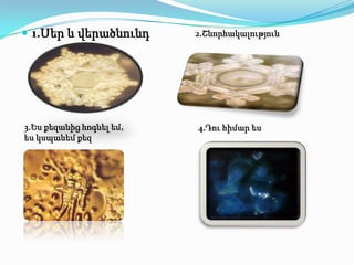  1.Սեր և վերածնունդ      2.Շնորհակալություն




3.Ես քեզանից հոգնել եմ,   4.Դու հիմար ես
ես կսպանեմ քեզ
 