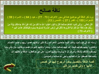 ‫ناقة صالح‬
   ‫ورد ذكر الناقة في مواضع عدة فى سور العراف ) 37 ، 77( – هود ) 46 ( – السراء ) 95 (‬
                                                                                                       ‫الشعراء ) 551 ( - القمر ) 72 ( - الشمس ) 31( .‬
   ‫قال تعالى : وإلى ثمود أخاهم صالحا قال يا قوم اعبدوا ال ما لكم من إله غيره قد جاءتٍمْكم بينة منٍمْ‬
       ‫مَّ  ىَ  ىَ ع ُ ٍمْ يِ ٍمْ يِ  ىَ ع ٍ  ىَ ٍمْ ع ُ ع ُ  ىَ ٍمْ  ىَ  ىَ ع ُ ٍمْ  ىَ ِّ  ىَ  ٌ يِ‬
                                                                                                  ‫ ىَ‬   ‫ ىَيِ  ىَ  ىَ ع ُ  ىَ  ىَ  ىَ ع ُ ٍمْ  ىَ يِ  اً  ىَ  ىَ  ىَ  ىَ ٍمْ يِ ٍمْ ع ُ ع ُ‬
              ‫ربكم هذه ناقة ال لكم آية فذروها تأكل في أرض ال و  ىَ تمسوها بسوء فيأخذكم عذاب أليم *‬
                                ‫ ىَ ِّ ع ُ ٍمْ  ىَ يِ يِ  ىَ  ىَ ع ُ مَّ  ىَ ع ُ ٍمْ  ىَ  اً  ىَ  ىَ ع ُ  ىَ  ىَ ٍمْ ع ُ ٍمْ يِ  ىَ ٍمْ يِ مَّ  ىَل  ىَ  ىَ  ُّ  ىَ يِ ع ُ ع ٍ  ىَ  ىَ ٍمْ ع ُ  ىَ ع ُ ٍمْ  ىَ  ىَ  ٌ‬
                                                                                                         ‫يِ‬                                                                      ‫يِ‬
                                                                                                                                                                                    ‫) العراف 37 (‬



   ‫أرسله ال إلى قوم ثمود وكانوا قوما جاحدين آتاهم ال رزقا كثيرا ولكنهم عصوا ربهم وعبدوا الصنام‬
‫وتفاخروا بينهم بقوتهم فبعث ال إليهم صالحا مبشرا ومنذرا ولكنهم كذبوه وعصوه وطالبوه بأن يأتي بآية‬
            ‫ليصدقوه فأتاهم بالناقة وأمرهم أن ل يؤذوها ولكنهم أصروا على كبرهم فعقروا الناقة وعاقبهم ال‬
                                                                                       ‫بالصاعقة فصعقوا جزاء لفعلتهم ونجى ال صالحا والمؤمنين .‬

                                                                                  ‫قصة الناقة بالتفصيل يمكن الرجوع إليها فى قصص‬
                                                                                                  ‫. النبيا ء وفى تفسير بن كثير‬
                                                                                                                                                                 ‫33‬
 