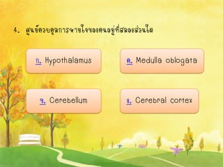 4. ศูนย์ควบคุมการหายใจของคนอยู่ที่สมองส่วนใด

      ก. Hypothalamus              ค. Medulla oblogata


        ข. Cerebellum              ง. Cerebral cortex
 