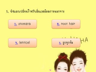 5. พืชแลกเปลี่ยนก๊าซกับสิ่งแวดล้อมภายนอกทาง

     ก. stomata                      ค. root hair


      ข. lenticel                      ง. ถูกทุกข้อ
 