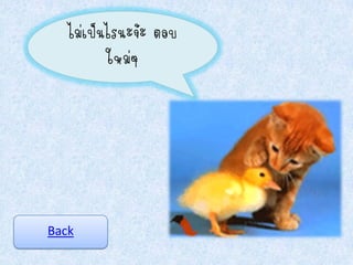 ไม่เป็นไรนะจ้ะ ตอบ
          ใหม่ๆ




Back
 