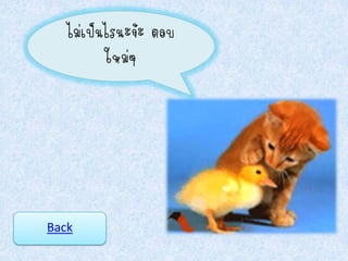 ไม่เป็นไรนะจ้ะ ตอบ
          ใหม่ๆ




Back
 
