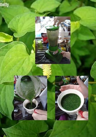 ขั้นตอนการดำเนินงาน