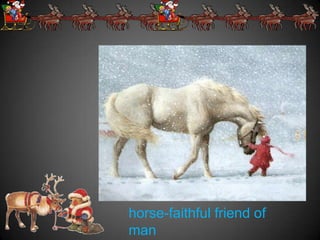horse-faithful friend of
man
 