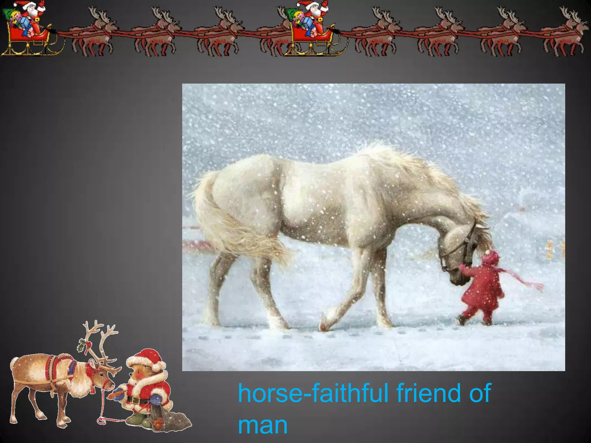 horse-faithful friend of
man
 