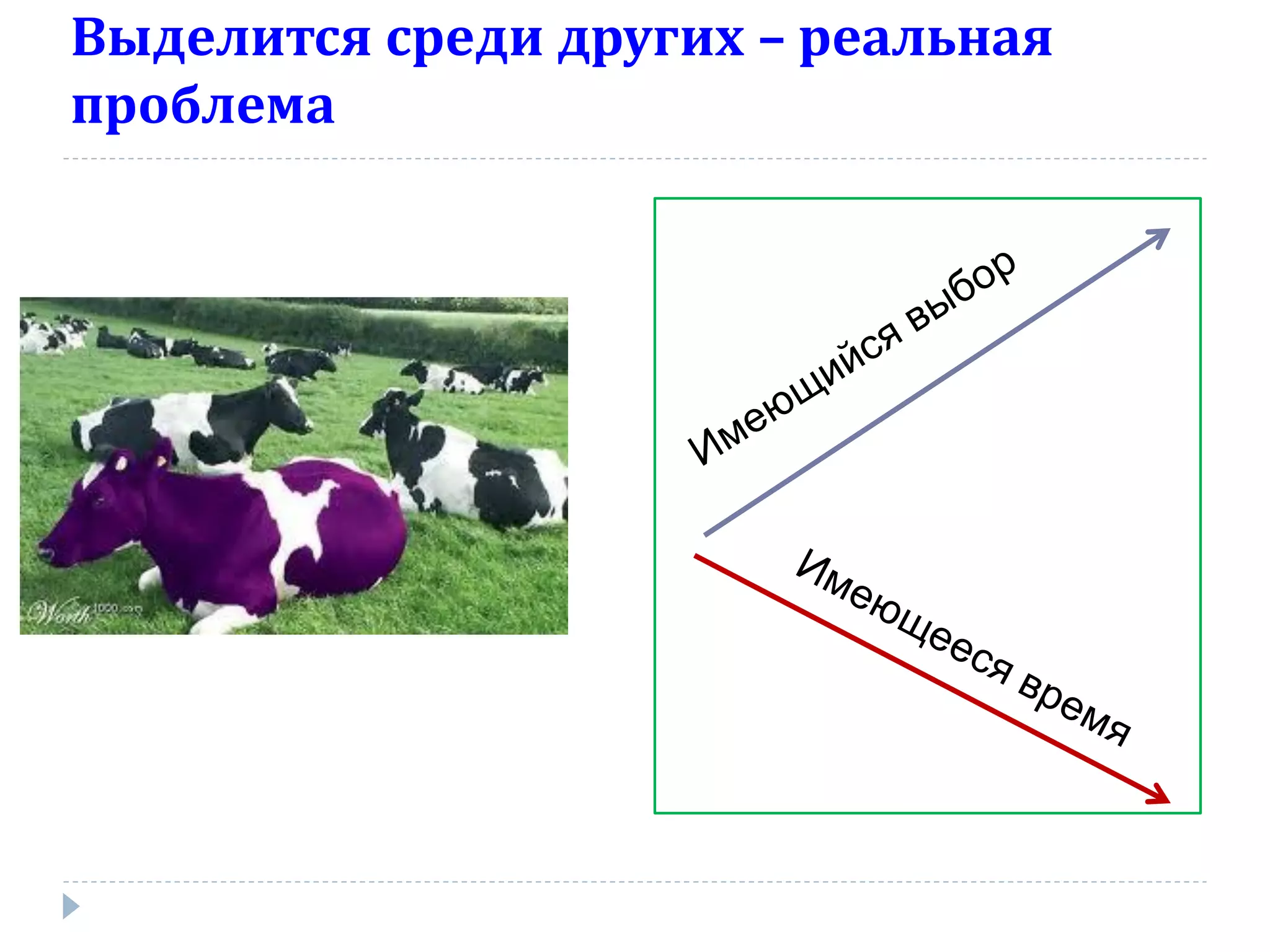 Выделится среди других – реальная
проблема
 