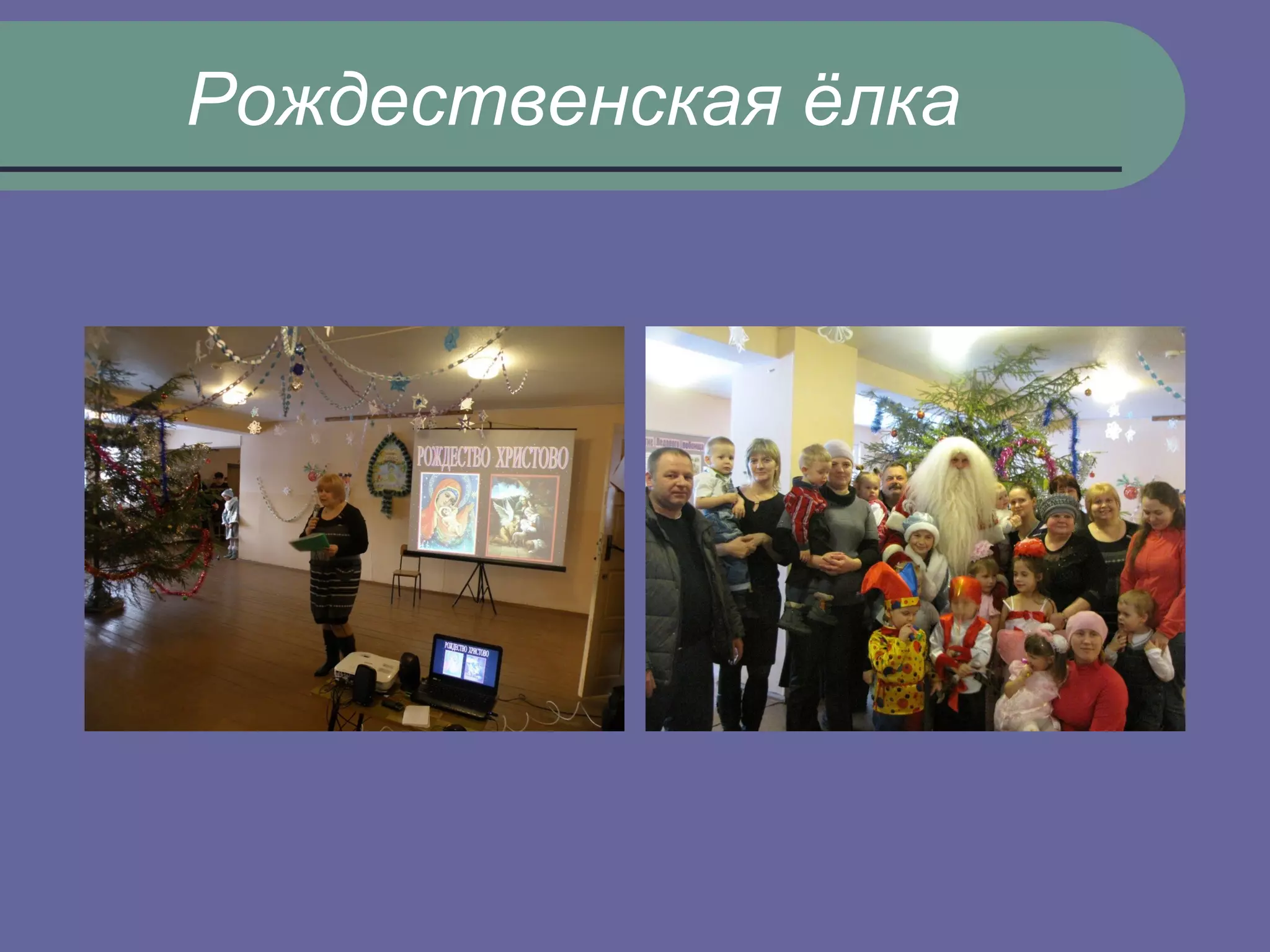 Рождественская ёлка
 