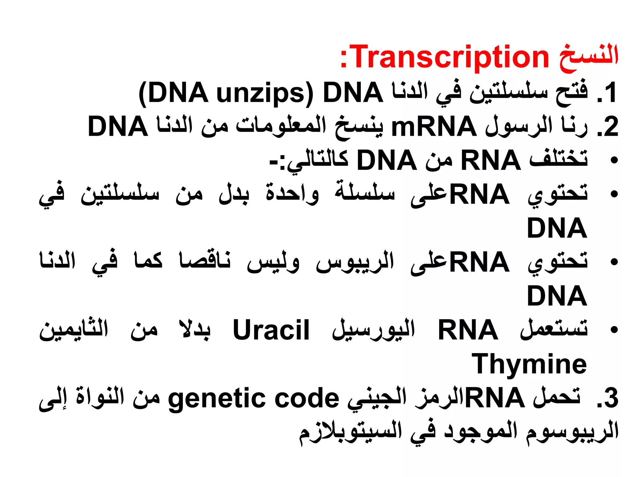 ‫النسخ ‪:Transcription‬‬
           ‫1. فتح سلسلتين في الدنا ‪)DNA unzips( DNA‬‬
      ‫2. رنا الرسول ‪ mRNA‬ينسخ المعلومات من الدنا ‪DNA‬‬
                      ‫• تختلف ‪ RNA‬من ‪ DNA‬كالتالي:-‬
‫• تحتوي ‪RNA‬على سلسلة واحدة بدل من سلسلتين في‬
                                                ‫‪DNA‬‬
‫• تحتوي ‪RNA‬على الريبوس وليس ناقصا كما في الدنا‬
                                                ‫‪DNA‬‬
‫• تستعمل ‪ RNA‬اليورسيل ‪ Uracil‬بدال من الثايمين‬
                                          ‫‪Thymine‬‬
‫3. تحمل ‪RNA‬الرمز الجيني ‪ genetic code‬من النواة إلى‬
                         ‫الريبوسوم الموجود في السيتوبالزم‬
 