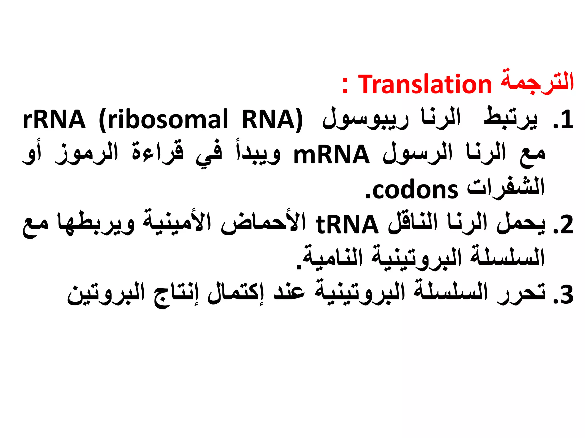 ‫الترجمة ‪: Translation‬‬
‫1. يرتبط الرنا ريبوسول )‪rRNA (ribosomal RNA‬‬
‫مع الرنا الرسول ‪ mRNA‬ويبدأ في قراءة الرموز أو‬
                                    ‫الشفرات ‪.codons‬‬
‫2. يحمل الرنا الناقل ‪ tRNA‬األحماض األمينية ويربطها مع‬
                            ‫السلسلة البروتينية النامية.‬
    ‫3. تحرر السلسلة البروتينية عند إكتمال إنتاج البروتين‬
 