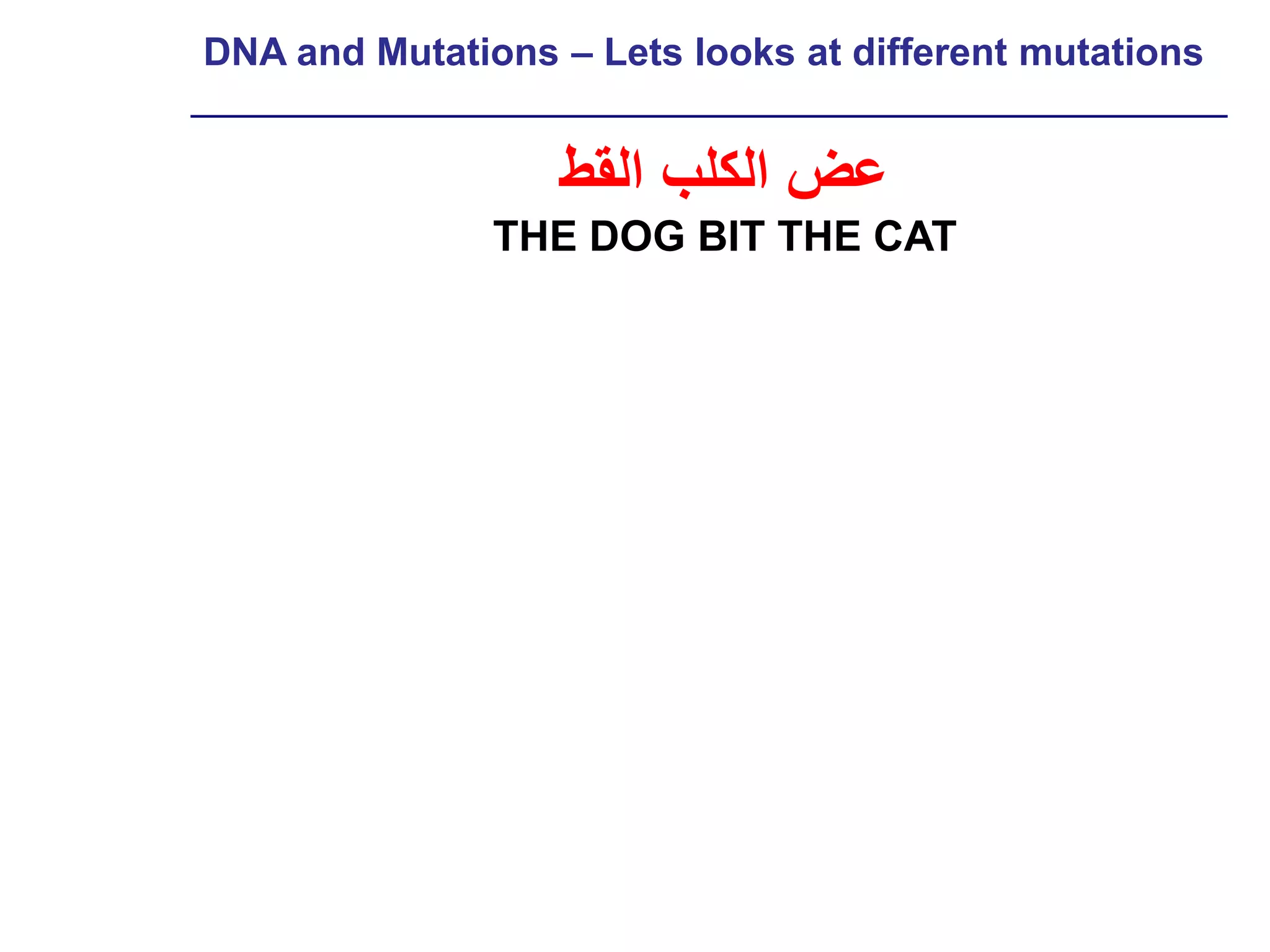 DNA and Mutations – Lets looks at different mutations


                  ‫عض الكلب القط‬
               THE DOG BIT THE CAT
 