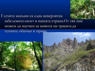 Глухите камъни са една невероятна
  забележителност в нашата страна.От тях ние
  можем да научим за живота на траките,за
  техните обичаи и нрави.
 