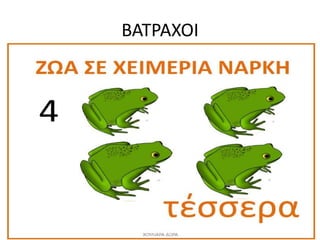 ΒΑΣΡΑΧΟΙ
 