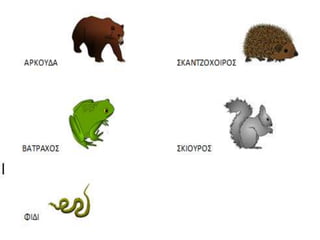 ζωα σε χειμερια ναρκη