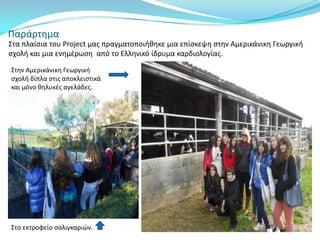Παράρτθμα
΢τα πλαίςια του Project μασ πραγματοποιικθκε μια επίςκεψθ ςτθν Αμερικάνικθ Γεωργικι
ςχολι και μια ενθμζρωςθ από το Ελλθνικό ίδρυμα καρδιολογίασ.

΢τθν Αμερικάνικθ Γεωργικι
ςχολι δίπλα ςτισ αποκλειςτικά
και μόνο κθλυκζσ αγελάδεσ.




΢το εκτροφείο ςαλιγκαριϊν.
 