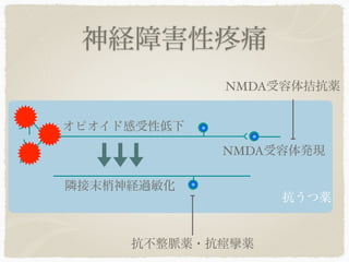 神経障害性        痛
             NMDA受容体拮抗薬


オピオイド感受性低下
             NMDA受容体発現

隣接末梢神経過敏化
                  抗うつ薬


     抗不整脈薬・抗痙攣薬
 