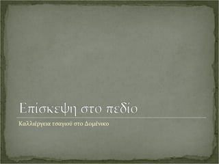 Καλλιέργεια τσαγιού στο Δομένικο
 