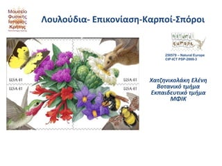 Λουλούδια- Επικονίαση-Καρποί-Σπόροι


                            250579 – Natural Europe
                            CIP-ICT PSP-2009-3




                       Χατζηνικολάκη Ελένη
                         Βοτανικό τμήμα
                       Εκπαιδευτικό τμήμα
                              ΜΦΙΚ
 