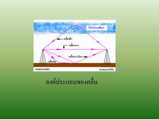 องค์ประกอบของคลื่น
 