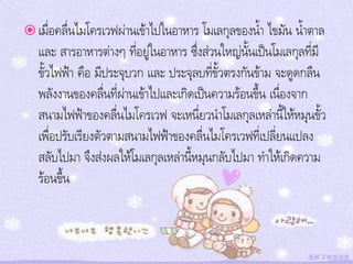  เมื่อคลื่นไมโครเวฟผ่านเข้าไปในอาหาร โมเลกุลของน้า ไขมัน น้าตาล
   และ สารอาหารต่างๆ ทีอยู่ในอาหาร ซึงส่วนใหญ่นั้นเป็นโมเลกุลที่มี
                          ่            ่
   ขั้วไฟฟ้า คือ มีประจุบวก และ ประจุลบทีขั้วตรงกันข้าม จะดูดกลืน
                                          ่
   พลังงานของคลื่นที่ผ่านเข้าไปและเกิดเป็นความร้อนขึ้น เนื่องจาก
   สนามไฟฟ้าของคลื่นไมโครเวฟ จะเหนี่ยวนาโมเลกุลเหล่านี้ให้หมุนขั้ว
   เพื่อปรับเรียงตัวตามสนามไฟฟ้าของคลื่นไมโครเวฟที่เปลี่ยนแปลง
   สลับไปมา จึงส่งผลให้โมเลกุลเหล่านี้หมุนกลับไปมา ทาให้เกิดความ
   ร้อนขึ้น
 