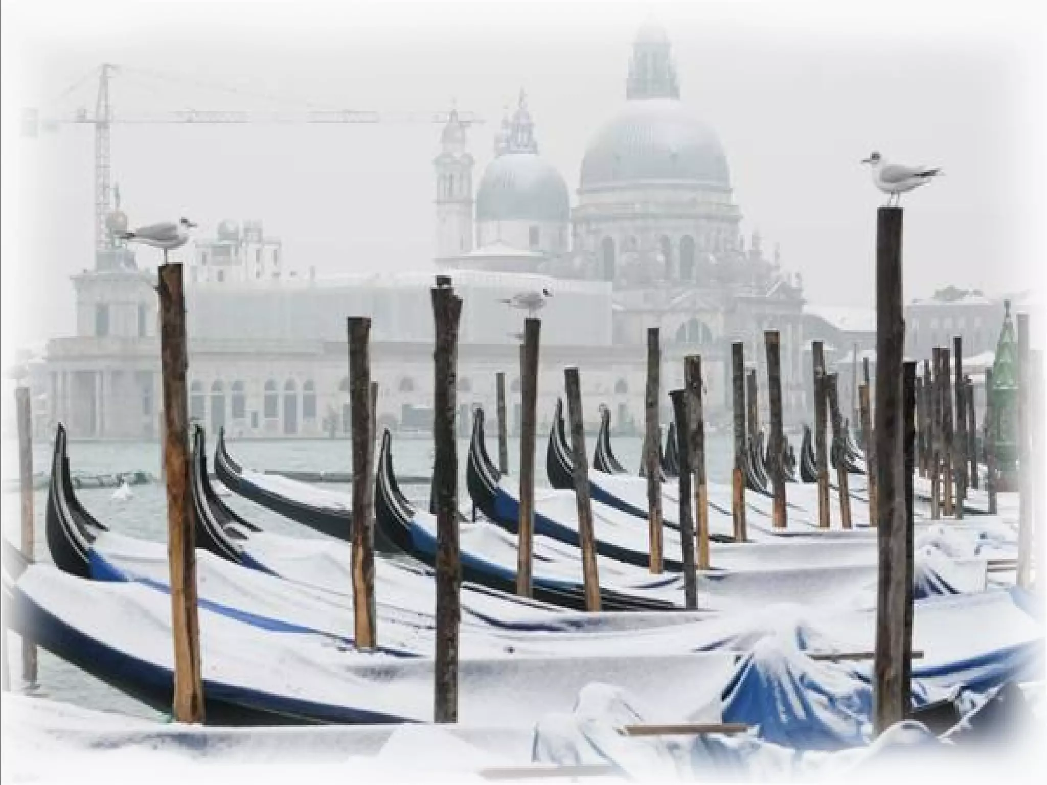 венеция под снегом