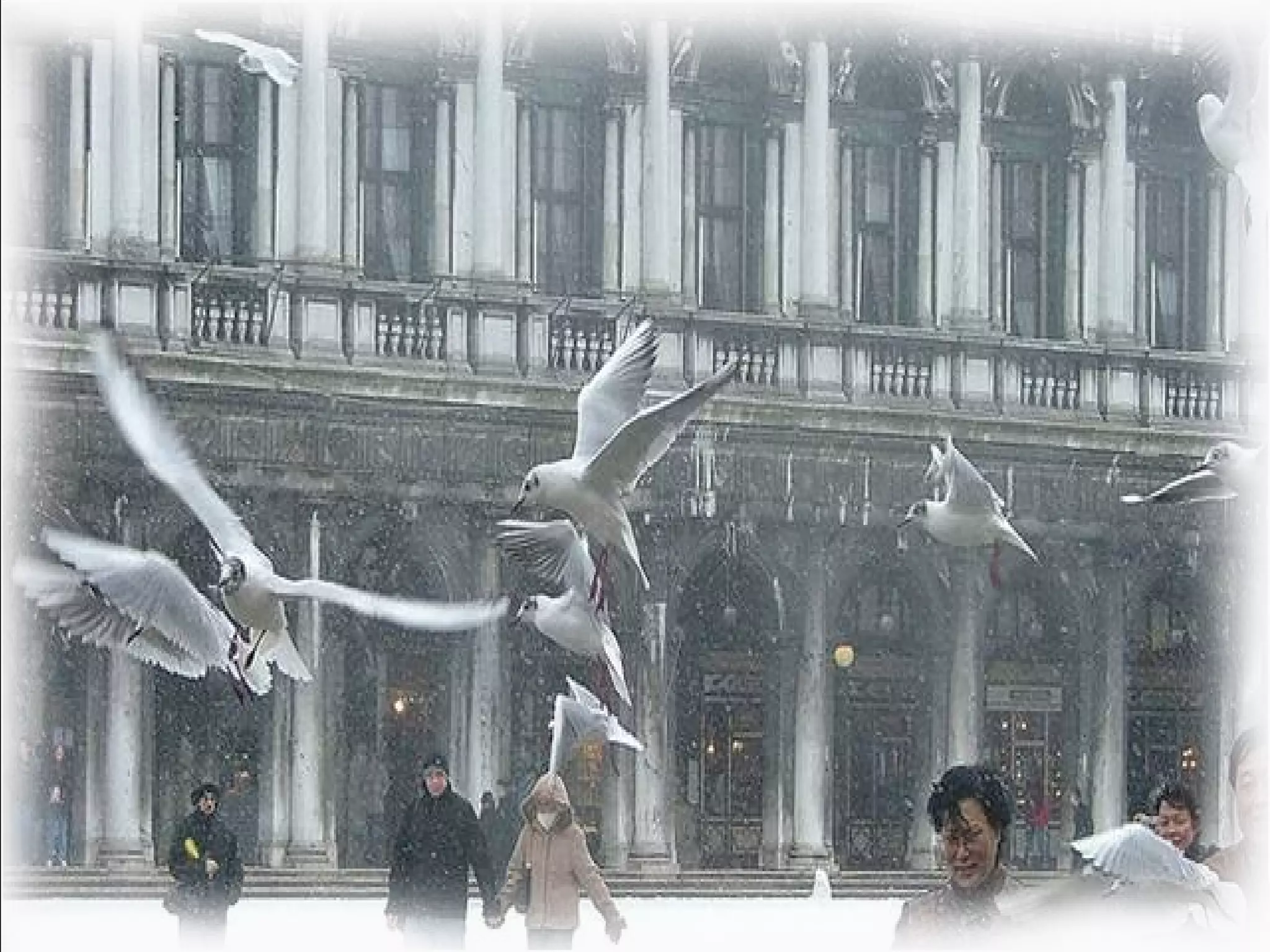 венеция под снегом