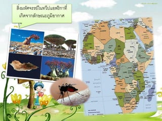 สิ่งมหัศจรรย์ในทวีปแอฟริกาที่
   เกิดจากลักษณะภูมิอากาศ
 