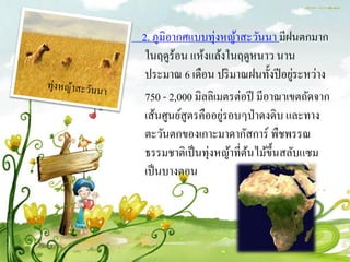 2. ภูมิอากศแบบทุ่งหญ้าสะวันนา มีฝนตกมาก
 ในฤดูร้อน แห้งแล้งในฤดูหนาว นาน
                                      ่
 ประมาณ 6 เดือน ปริ มาณฝนทั้งปี อยูระหว่าง
 750 - 2,000 มิลลิเมตรต่อปี มีอาณาเขตถัดจาก
                    ่
 เส้นศูนย์สูตรคืออยูรอบๆป่ าดงดิบ และทาง
 ตะวันตกของเกาะมาดากัสการ์ พืชพรรณ
 ธรรมชาติเป็ นทุ่งหญ้าที่ตนไม้ข้ ึนสลับแซม
                          ้
 เป็ นบางตอน
 