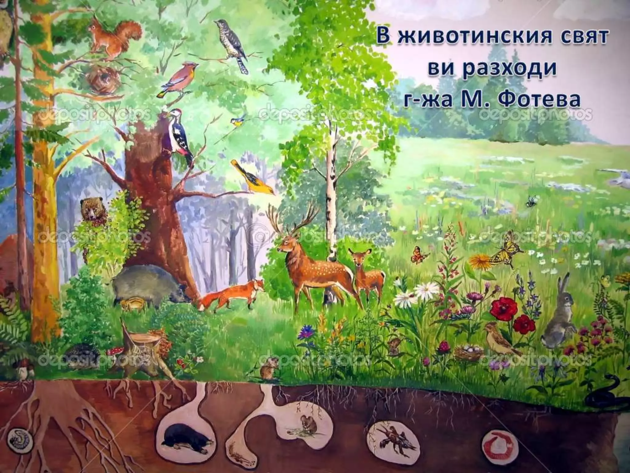 животните около нас